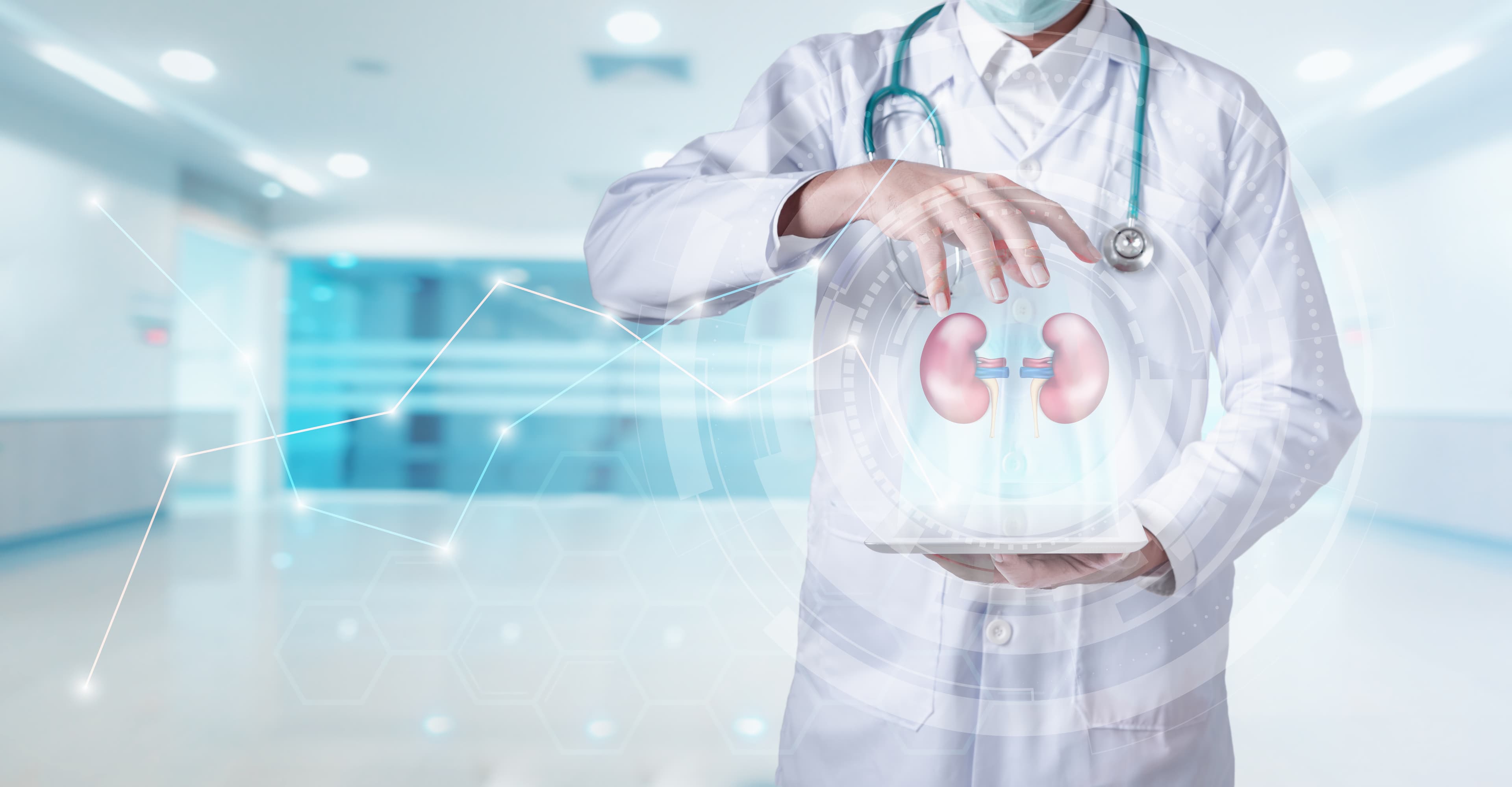Fellowship in Urology